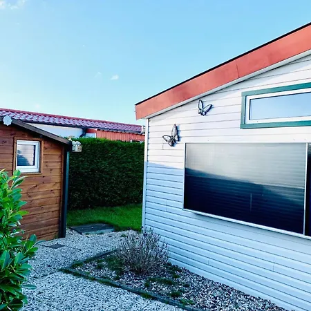 Balu By Interhome Wervershoof