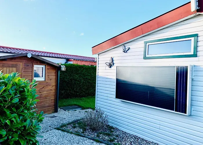 Balu By Interhome Wervershoof